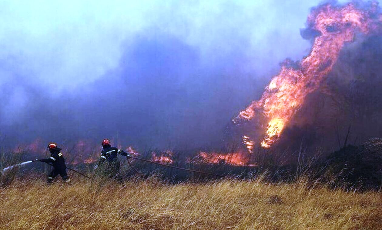 Φωτιά στην περιοχή «Μεταλλείο Τσούκας» του δήμου Λοκρών Φθιώτιδας