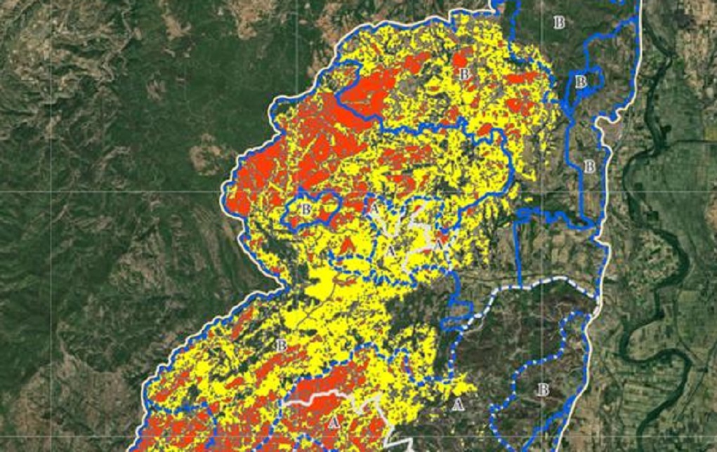 Ξεκίνησε η αποτίμηση των περιβαλλοντικών επιπτώσεων από την πυρκαγιά στο Εθνικό Πάρκο της Δαδιάς – Χάρτης με τη σφοδρότητα της φωτιάς