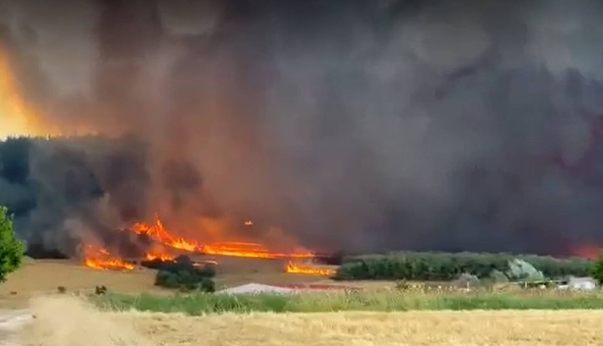 Καταστολή πυρκαγιών: Τι λέει δασολόγος για την φωτιά στον Έβρο
