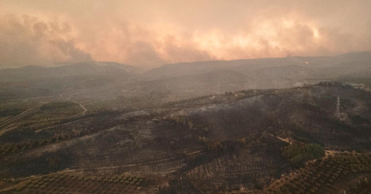 Για 15η ημέρα συνεχίζεται η πυρκαγιά στον Έβρο – Σε ποιες περιοχές είναι τα πιο ενεργά μέτωπα