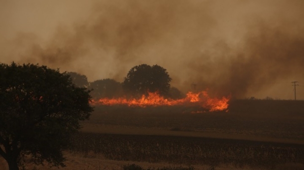 Ισχυρές πυροσβεστικές δυνάμεις επιχειρούν στον Έβρο &#8211; 44 νέες δασικές πυρκαγιές
