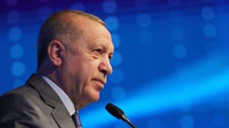 Τουρκία: Υπέβαλε τα διαπιστευτήριά του στον Ερντογάν ο πρεσβευτής της Ελλάδας