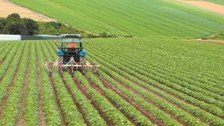 Σκέψεις για νέα κατοχύρωση αγροτικών προϊόντων ΠΟΠ της Θεσσαλίας