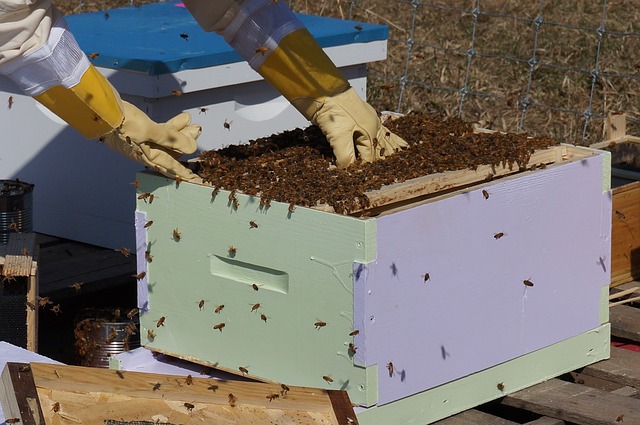 Λ. Αυγενάκης: «Καθοριστική η ίδρυση της Διεπαγγελματικής Οργάνωσης Μελιού για τη μελισσοκομία»