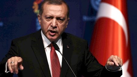 w31 174645w09153349w12125351erdogan4